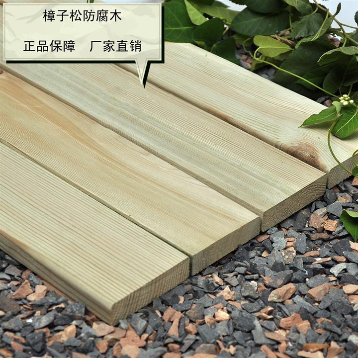 樟子松